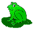 frog_rt.gif (1723 bytes)